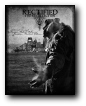 Rectified 'The Recollection'